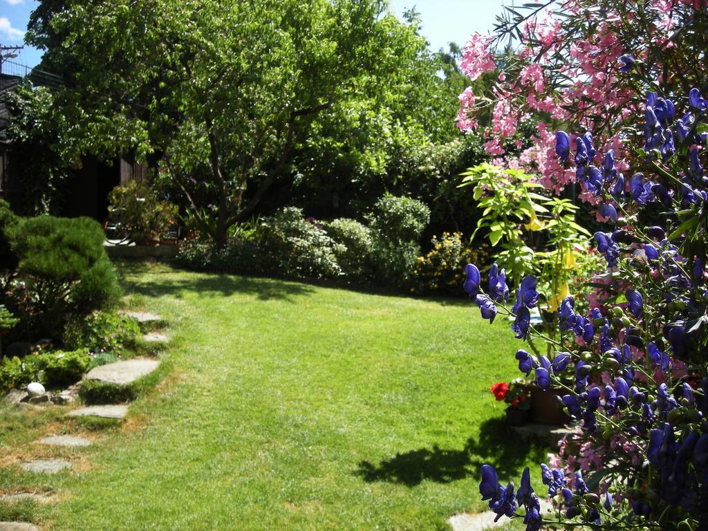 Penzion Nevcehle Urbanov Dış mekan fotoğraf