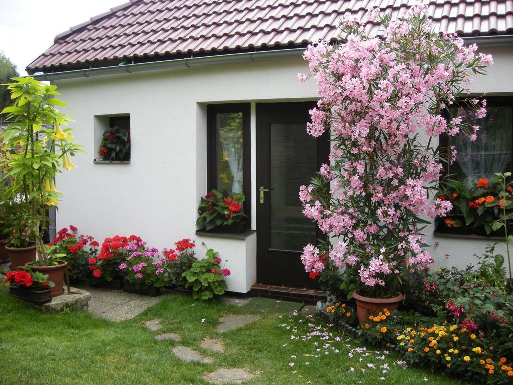 Penzion Nevcehle Urbanov Dış mekan fotoğraf